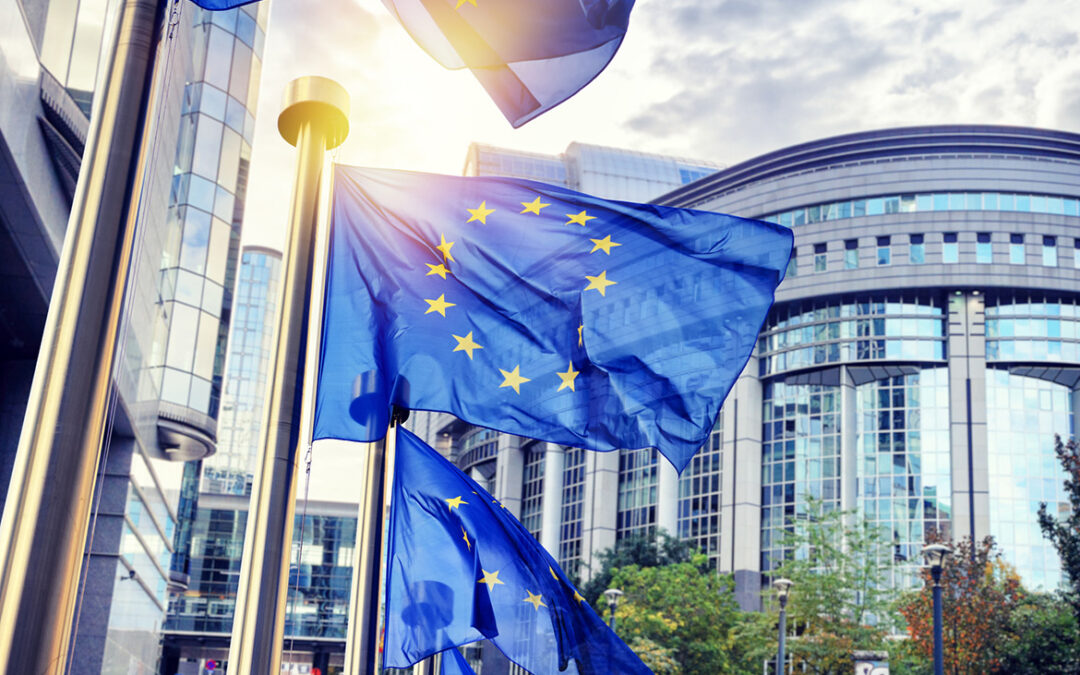 Combattre les fraudes au détachement : les PME françaises et allemandes interpellent le Parlement européen