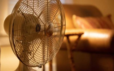 Canicule : les obligations des employeurs